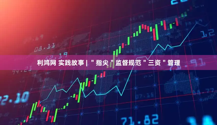 利鸿网 实践故事 | ＂指尖＂监督规范＂三资＂管理